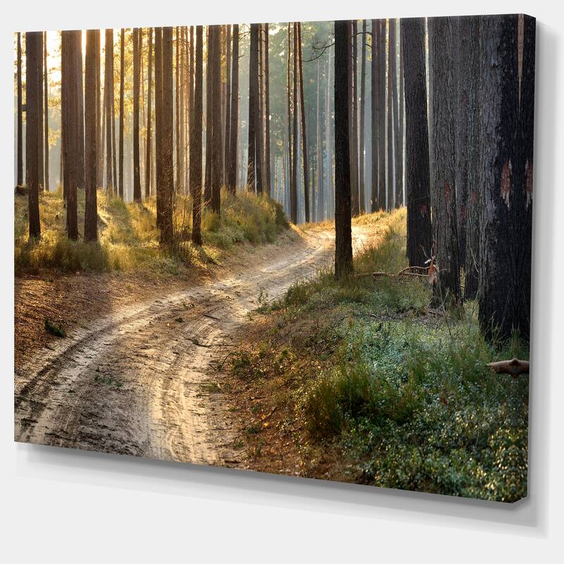 Designart "Road in Thick Morning Forest" Landscape Photo Canvas Art Print