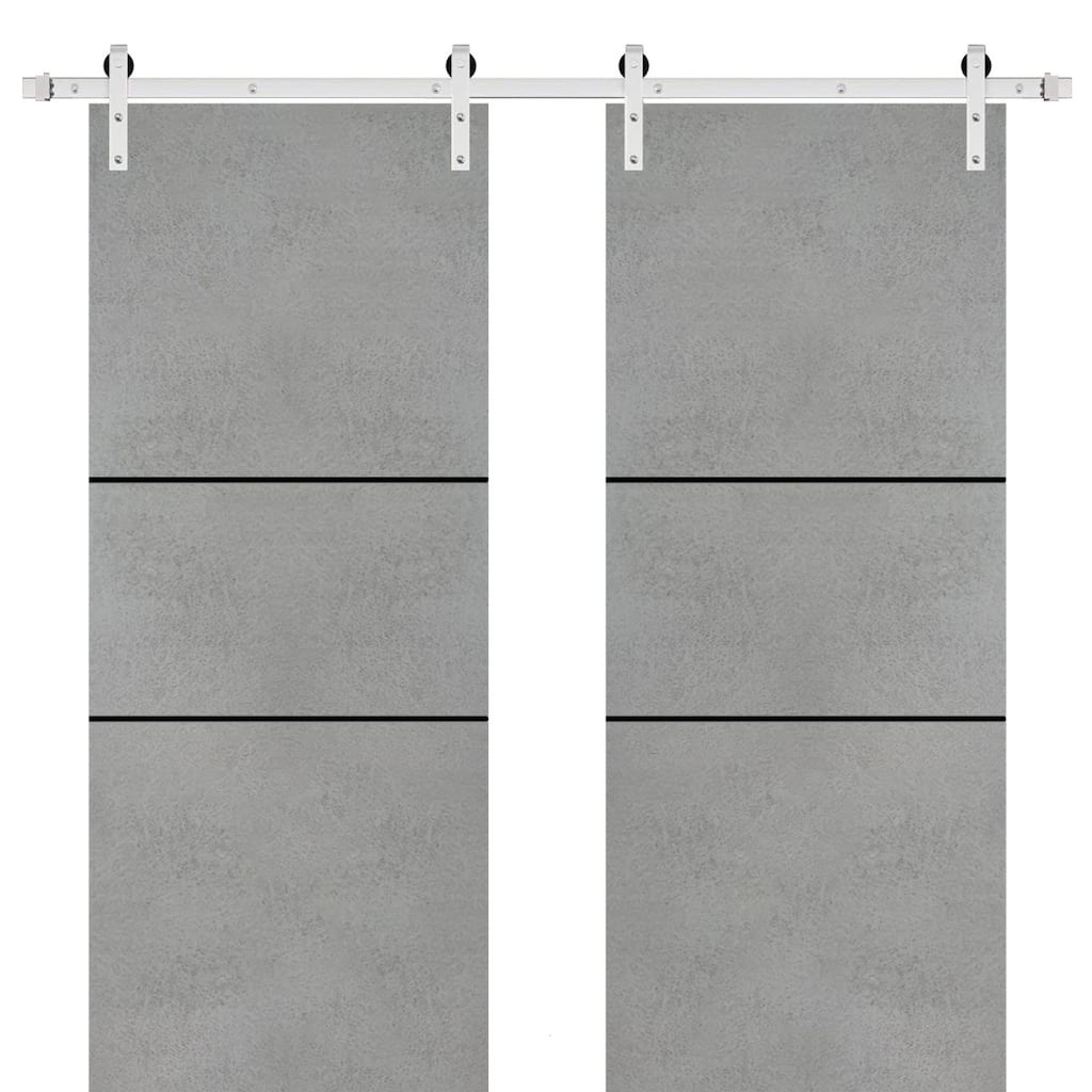 Sturdy Double Barn Door 36 x 80 with Planum 0014 Concrete with 13FT