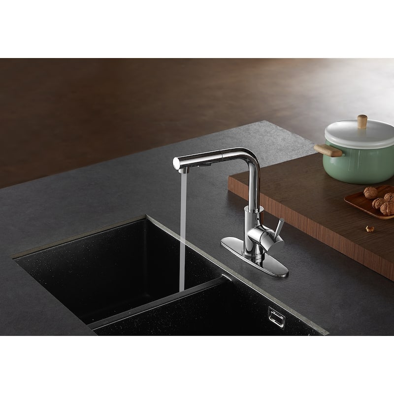 Concord Single-Handle Pull-Out Kitchen Faucet