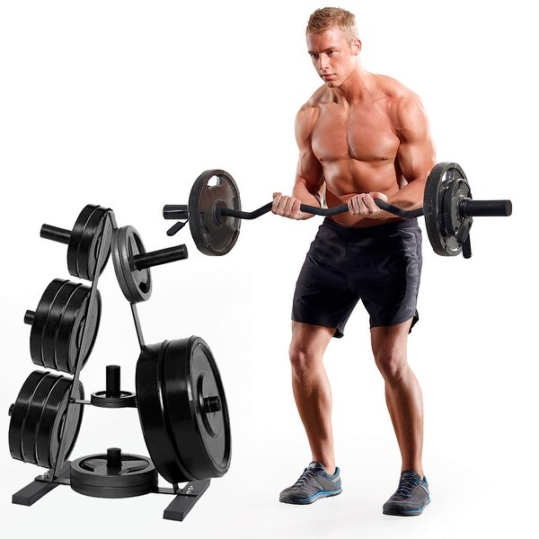 2 inch sales weight plate rack