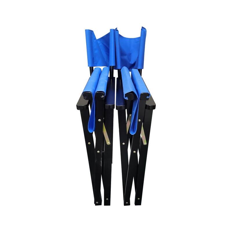 2-Piece Populus Wood & Canvas Director's Chair Set, Foldable