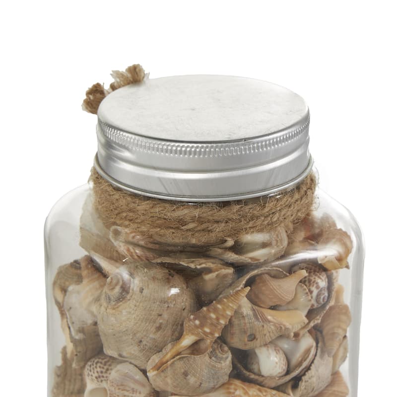 Glass Orbs & Vase Filler with Seashells and Jute Rope Accents - Set of 3 Clear - Roche River Decor - 3"W x 3"L x 6"H