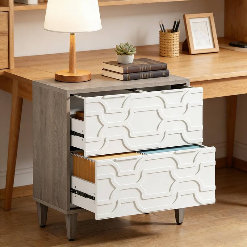 Rossetta 2-Drawer Stylish Design Versatile Storage File Cabinet with Ample Space