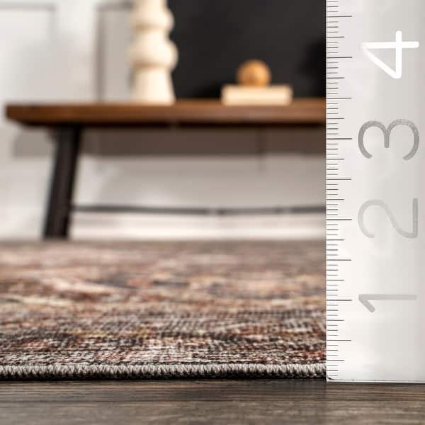 Nuloom Zofia SpinClean Vintage Persian Machine Washable Area Rug