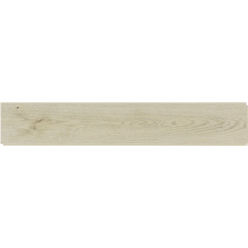 Daltile Asher Bend 5" x 24" Herringbone Rigid Click Luxury Vinyl Flooring (24 Pc per Carton) (18.60 Sq Ft per Carton)