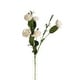 preview thumbnail 3 of 4, RusticReach Eco PE Camellia Bloom Stem Set in White 16" Tall
