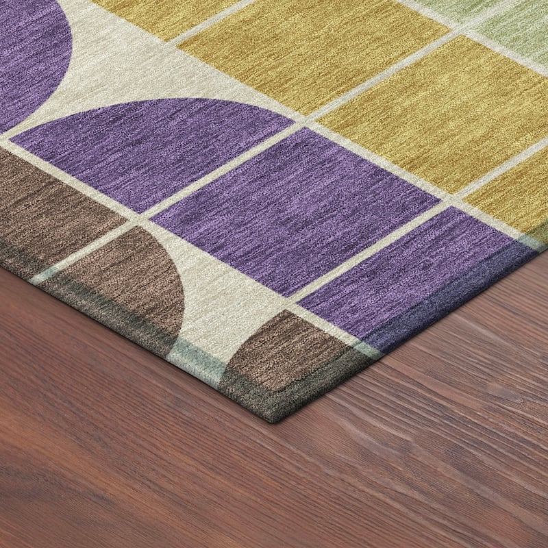 Machine Washable Indoor/ Outdoor Modern Finch Chantille Rug