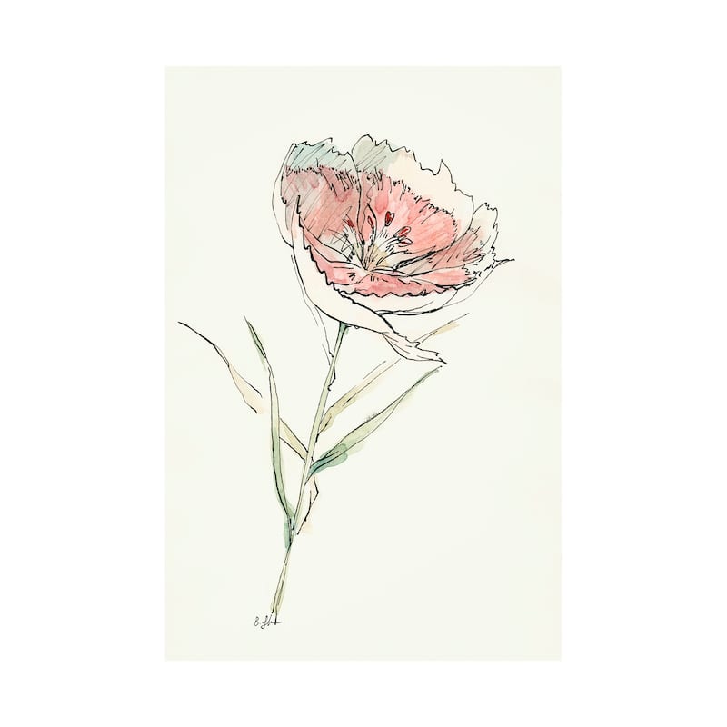 Dianthus II (30 x 45) Canvas Art Print - Large