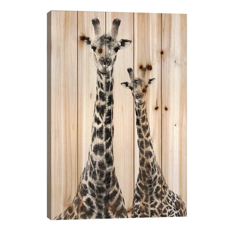 Two Giraffes White Edition II Print On Wood by Philippe Hugonnard - Multi-Color - 26x18x1.5