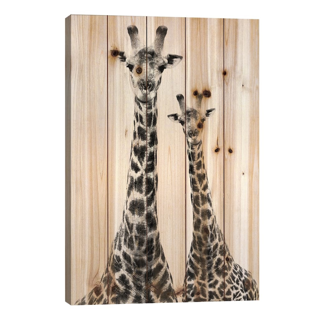Two Giraffes White Edition II Print On Wood by Philippe Hugonnard - Multi-Color