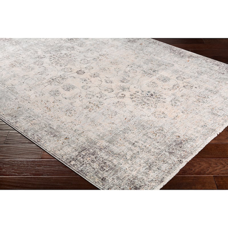 Harlan Distressed Traditional Area Rug - 3'3" x 8' Runner