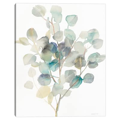 Eucalyptus III by Danhui Nai Canvas Art Print