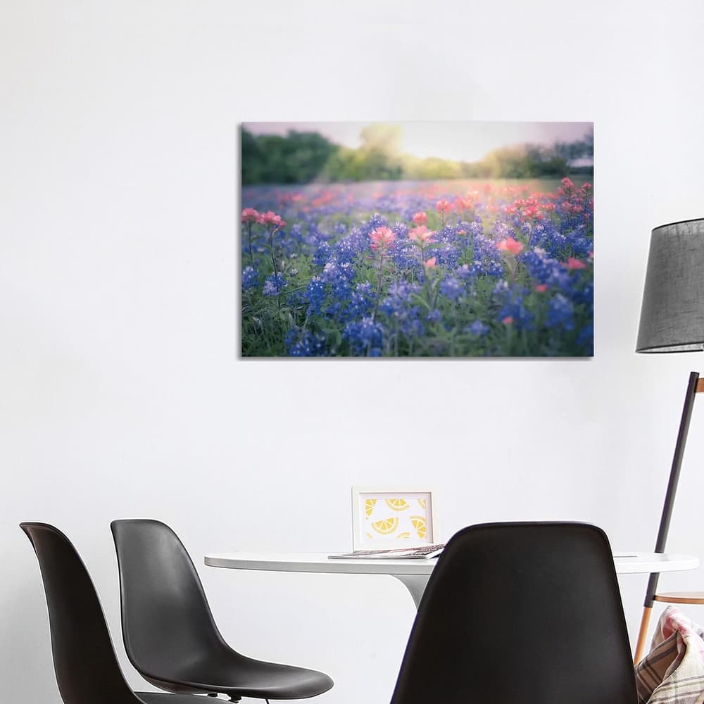 iCanvas "Texas Bluebonnets" by Ann Hudec Canvas Print