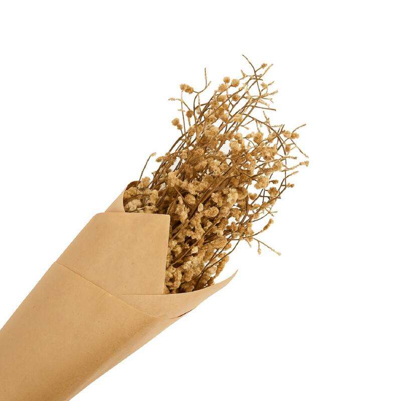 Bui Grass Paper Wrapped Bunch Artificial Plant - 30.75" - Brown