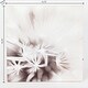 preview thumbnail 11 of 9, Dandelion Lighted Gallery-Wrapped Canvas Prints (Set of 3)