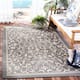 SAFAVIEH Courtyard Clarine Indoor/ Outdoor Waterproof Patio Backyard Rug - 2'7" x 5' - Grey/Natural