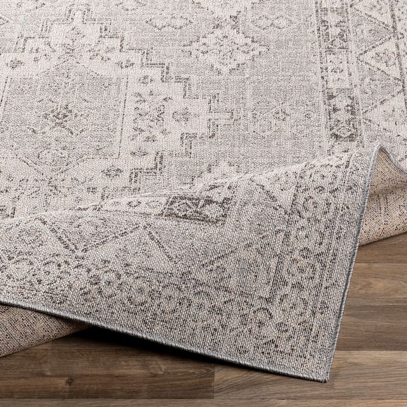Susannah Indoor / Outdoor Updated Traditional Area Rug
