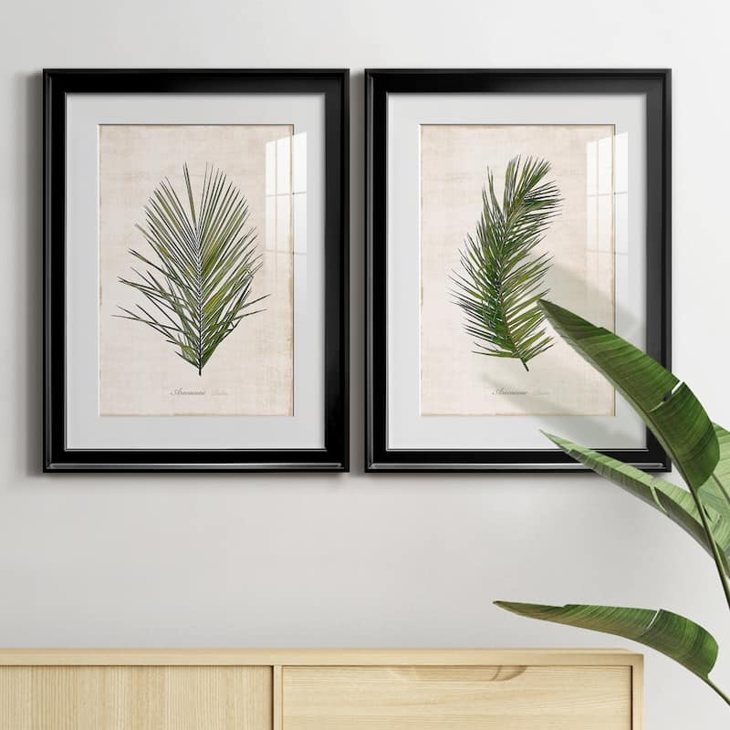 Palm Botanical I Premium Framed Print - Ready to Hang