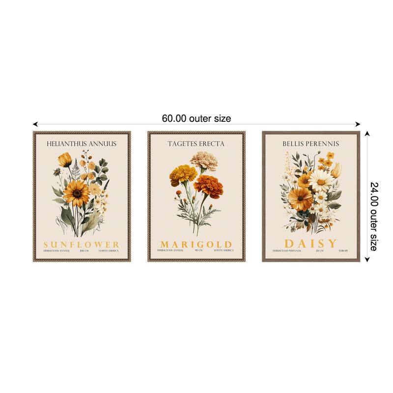 Amanti Art Vintage Sunflower Marigold and Daisy 3 Piece by Christopher Giampietro Framed Canvas Wall Art - Gold
