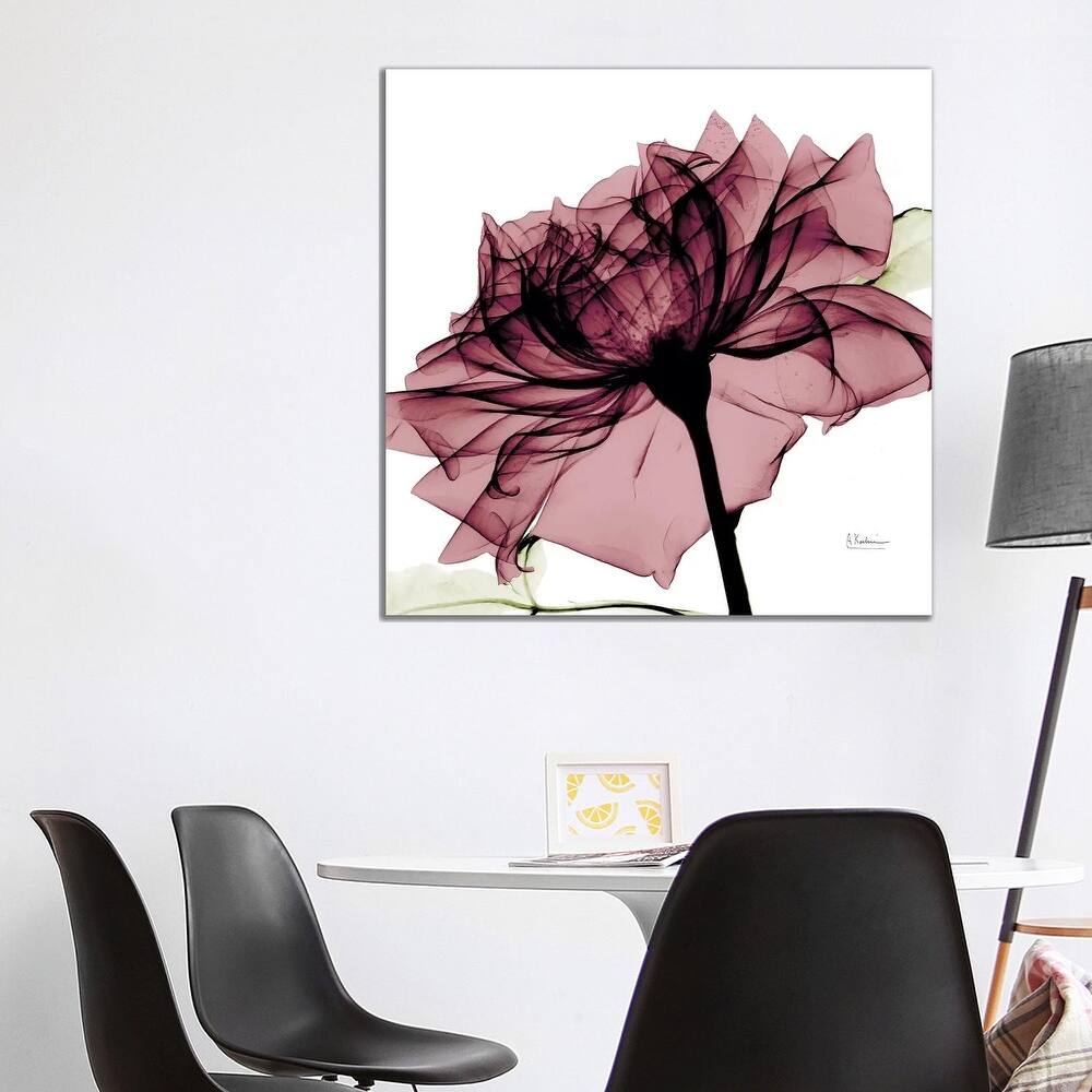 iCanvas "Chianti Rose I" by Albert Koetsier Canvas Print