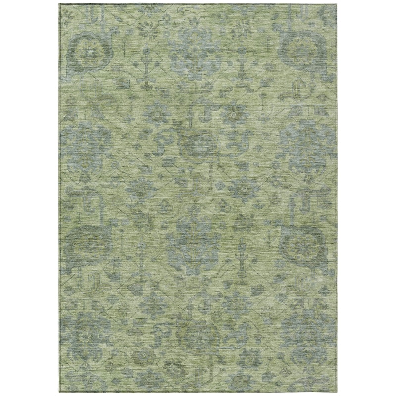 Machine Washable Indoor/ Outdoor Vintage Traditional Chantille Rug