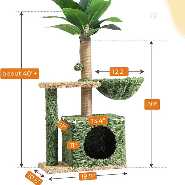 indoor plant buy Snake Plant – Buy Low-Maintenance Indoor Plant Online main image 1