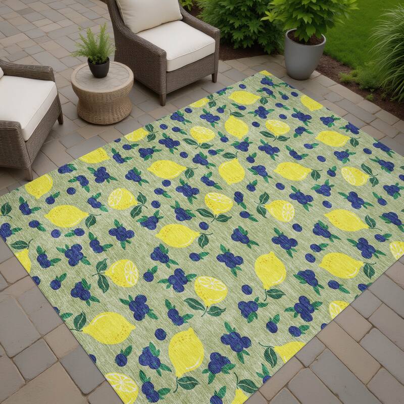 Machine Washable Indoor/ Outdoor Citrus Berry Chantille Rug - Aloe - 2'6" x 3'10"