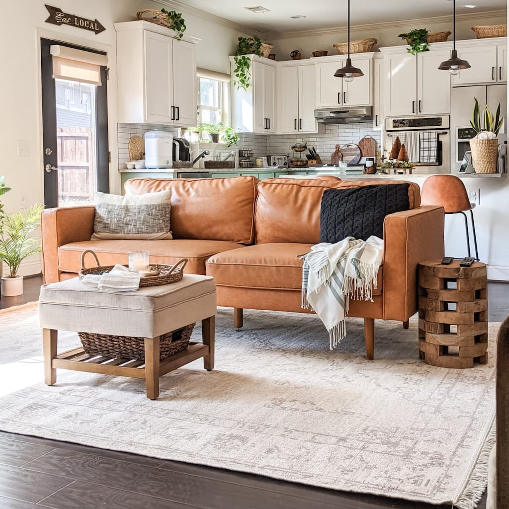 Federico Traditional Medallion Recycled Area Rug