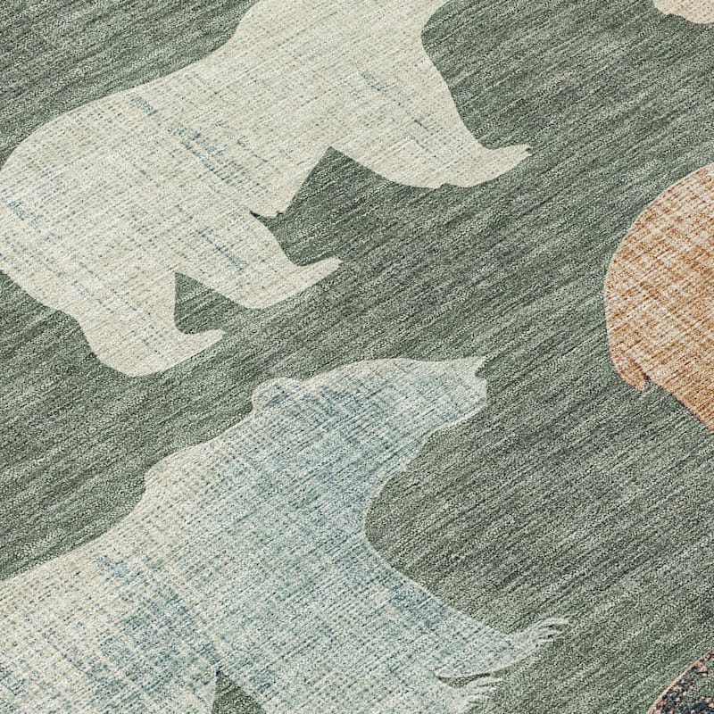 Machine Washable Indoor/ Outdoor Modern Bear Chantille Rug