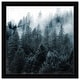 preview thumbnail 2 of 25, Oliver Gal 'Over The Pine' Nature and Landscape Wall Art Framed Print Forest Landscapes - Black, White