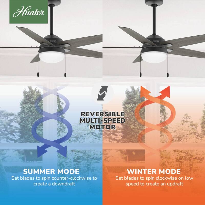 Hunter 44" Matte Black Ceiling Fan with LED Light Kit and Pull Chain