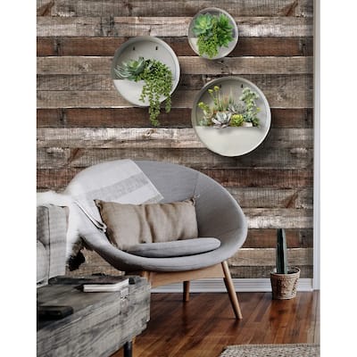 Modern Home Round Living Wall Mounted Galvanized Steel/Zinc Succulent/Herb Planter - Indoor/Outdoor Living Art Potting Vessel
