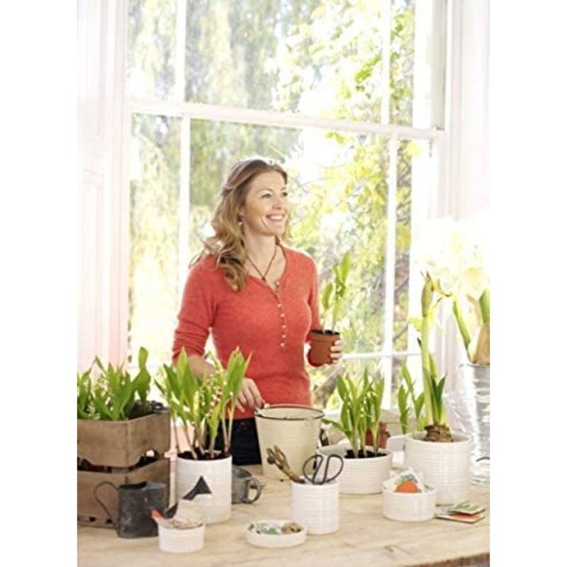 Portmeirion Sophie Conran Porcelain Flower Pot