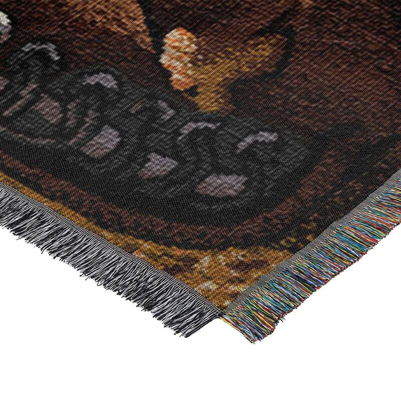 MLB Woven Tapestry Throw Blanket