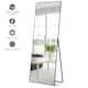 Modern Freestanding Full Length Floor Mirror