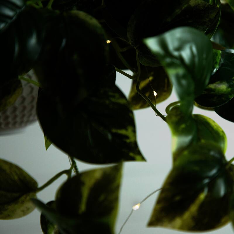 Pre-Lit Pothos Artificial Plant - 24" - Warm White LED Lights