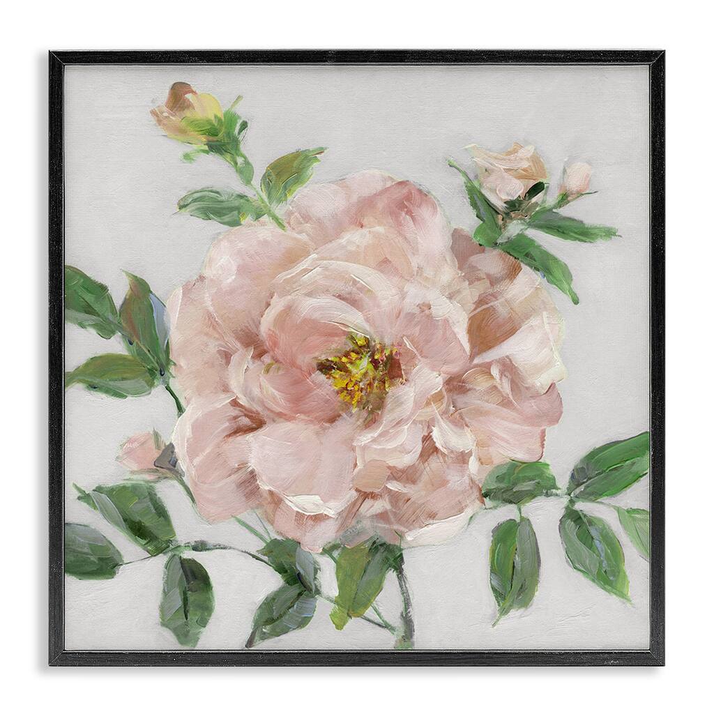 Stupell Pink Carnation Blossom Framed Giclee Art Design By Sally Swatland