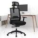 preview thumbnail 7 of 40, Ergonomic Mesh Executive Chair Home Office Chair with Lumbar Support, Headrest