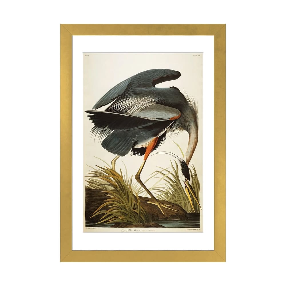 iCanvas "Great Blue Heron " by John James Audubon