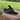 Design Toscano Smell The Flowers Garden Bear Statue