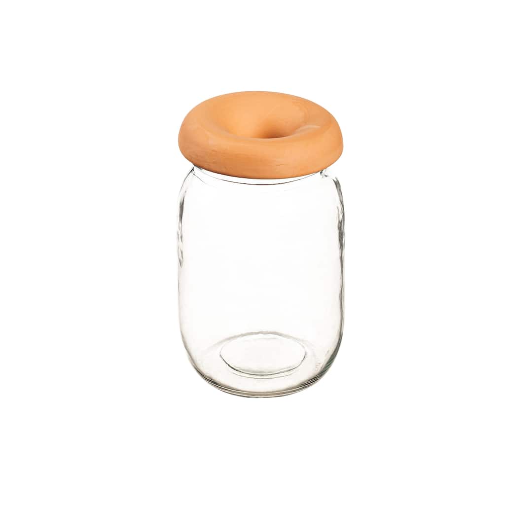 Clear Vase with Round Terracotta Rim