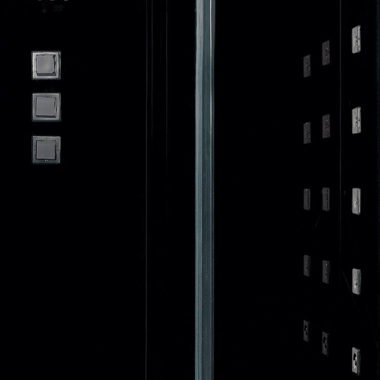 Platinum DZ972F8 Steam Shower