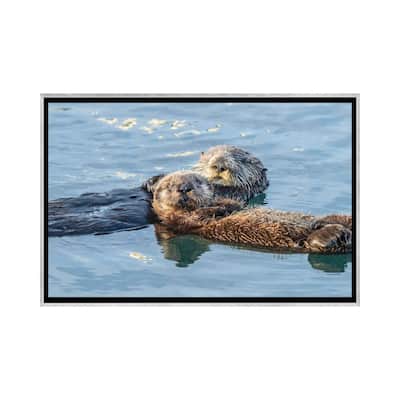 iCanvas "USA, California, San Luis Obispo. Sea otter waving." by Jaynes Gallery Framed
