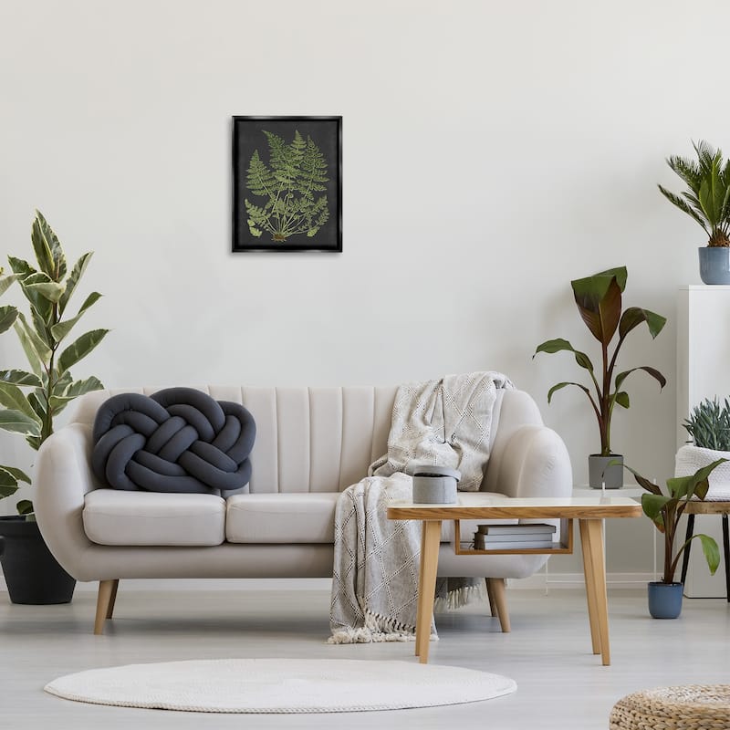Stupell Botanical Drawing Green Black Design Floater Frame