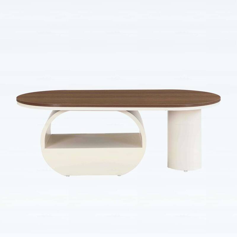 Modern Oval Coffee Table with Storage,Metal Frame for Elegant Living Room Decor
