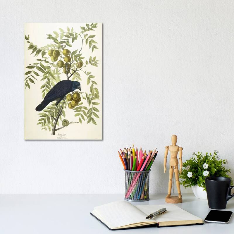 iCanvas "American Crow, 1833" by John James Audubon Canvas Print - 12x8x0.75