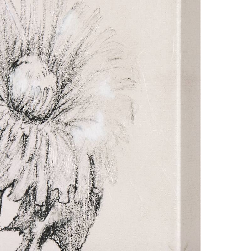 Dandelion Drawing II (30 x 45) Canvas Art Print