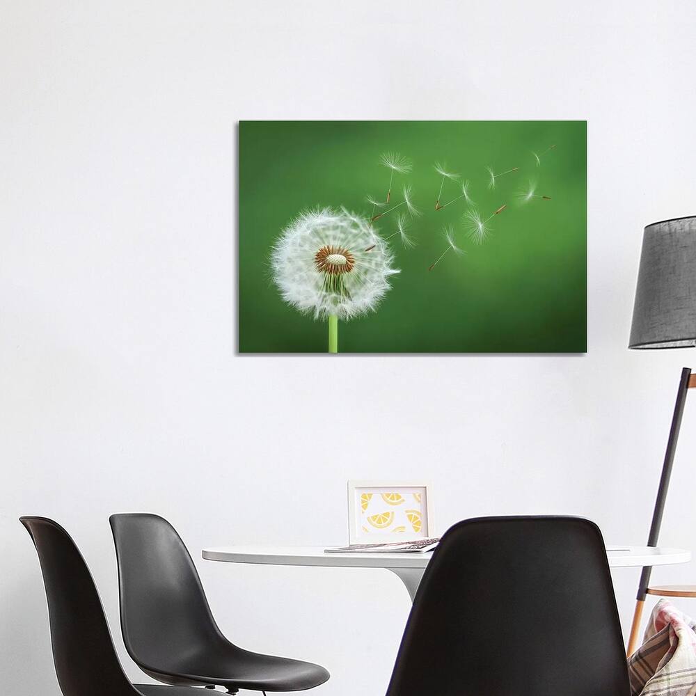 iCanvas "Dandelion Blowing II" by Bess Hamiti Canvas Print