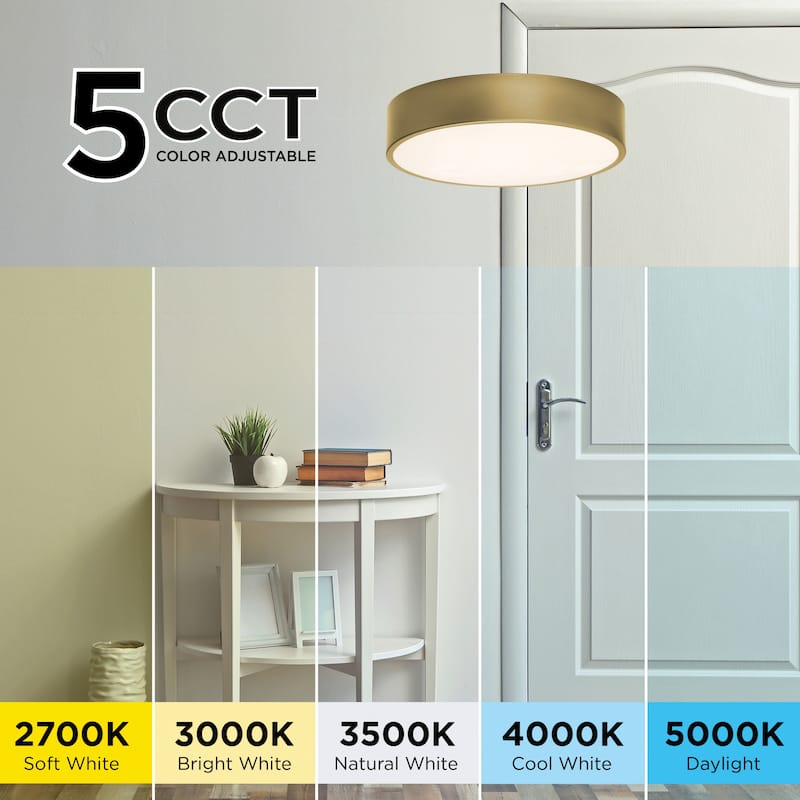 AFX Bailey LED Flush Mount Light