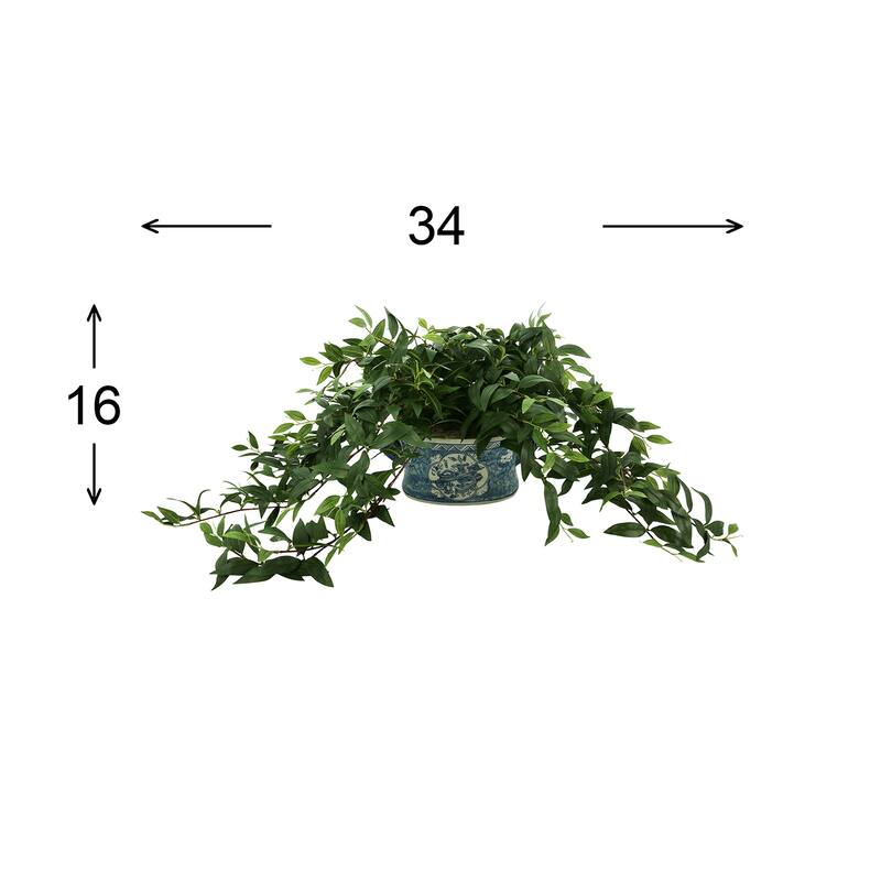 Ruscus Ivy Arranged in Decorative Ceramic Pot - Green